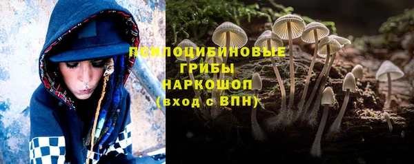 винт Алексеевка